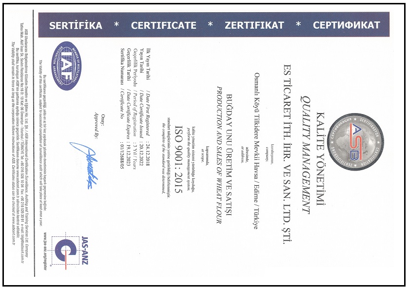 Es ticaret iso-9001 belgesi